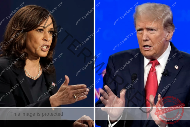 Analyzing The Palestinian Policy Differences Between Trump And Harris